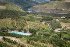 Villa em Folgosa - Feel Discovery Alvim's Douro