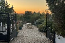 Casa em Loulé - Casa no Limoeiro