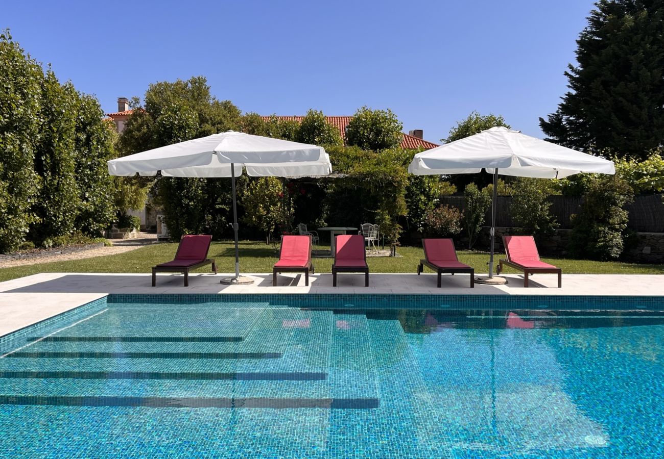 Villa in Armamar -  Feel Discovery Casa da Capela