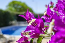 Вилла на Albufeira - Villa Tulipa | 4 Quartos | Piscina Privada | Albufeira