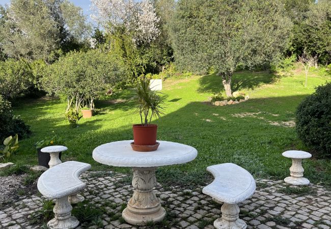 Дом на Loulé - Casa no Limoeiro